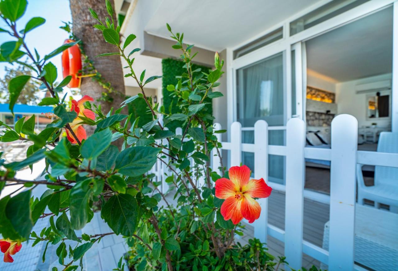 Sifne Thermal Otel Çeşme المظهر الخارجي الصورة